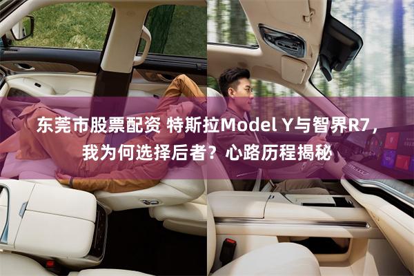 东莞市股票配资 特斯拉Model Y与智界R7，我为何选择后者？心路历程揭秘