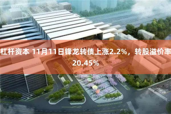 杠杆资本 11月11日锋龙转债上涨2.2%，转股溢价率20.45%