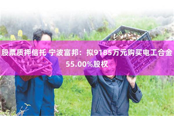 股票质押信托 宁波富邦：拟9185万元购买电工合金55.00%股权