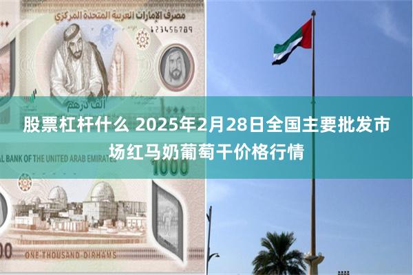 股票杠杆什么 2025年2月28日全国主要批发市场红马奶葡萄干价格行情