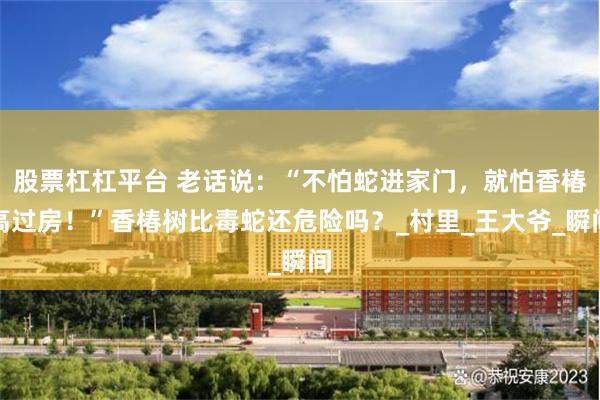 股票杠杠平台 老话说：“不怕蛇进家门，就怕香椿高过房！”香椿树比毒蛇还危险吗？_村里_王大爷_瞬间