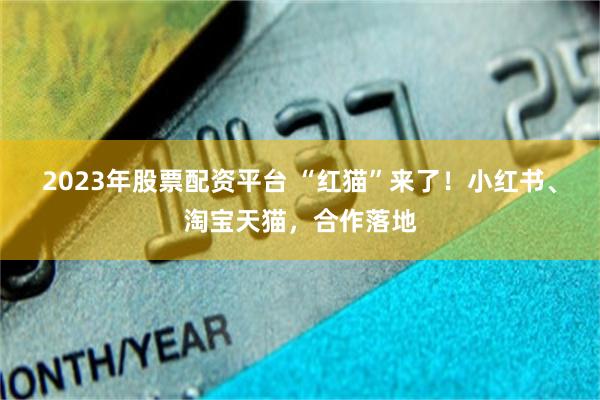 2023年股票配资平台 “红猫”来了！小红书、淘宝天猫，合作落地