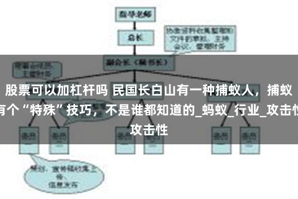 股票可以加杠杆吗 民国长白山有一种捕蚁人，捕蚁有个“特殊”技巧，不是谁都知道的_蚂蚁_行业_攻击性