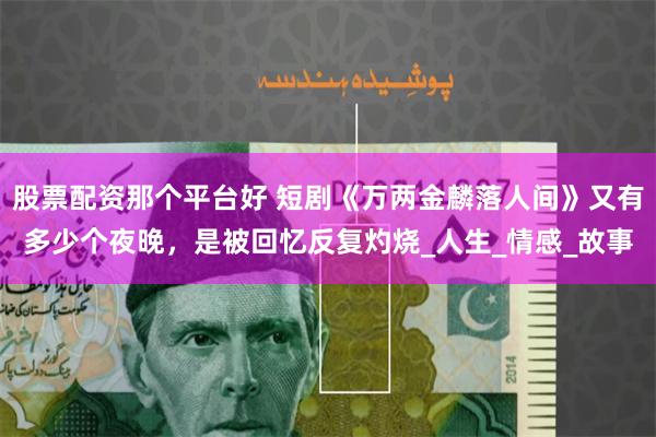 股票配资那个平台好 短剧《万两金麟落人间》又有多少个夜晚，是被回忆反复灼烧_人生_情感_故事