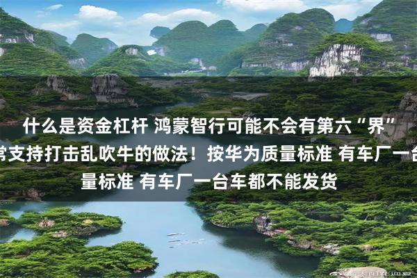 什么是资金杠杆 鸿蒙智行可能不会有第六“界”！余承东：非常支持打击乱吹牛的做法！按华为质量标准 有车厂一台车都不能发货