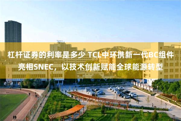 杠杆证券的利率是多少 TCL中环携新一代BC组件亮相SNEC，以技术创新赋能全球能源转型