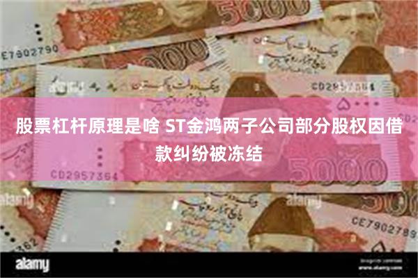 股票杠杆原理是啥 ST金鸿两子公司部分股权因借款纠纷被冻结