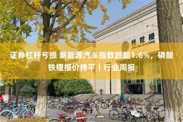 证券杠杆亏损 新能源汽车指数跌超1.6%，磷酸铁锂报价持平丨行业周报