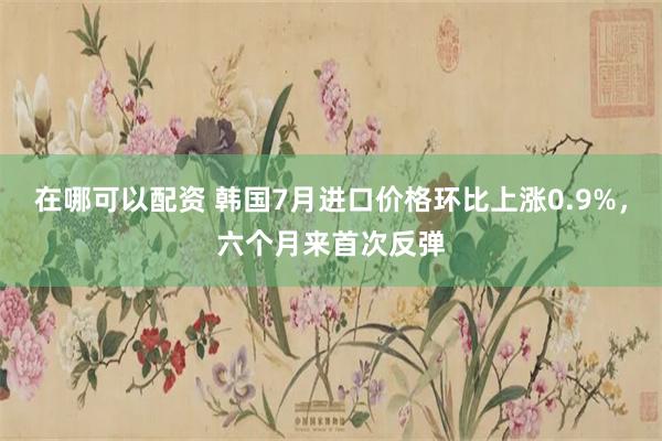 在哪可以配资 韩国7月进口价格环比上涨0.9%，六个月来首次反弹