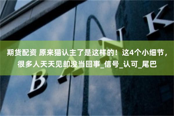 期货配资 原来猫认主了是这样的！这4个小细节，很多人天天见却没当回事_信号_认可_尾巴