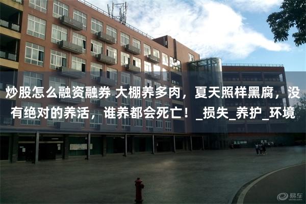 炒股怎么融资融券 大棚养多肉，夏天照样黑腐，没有绝对的养活，谁养都会死亡！_损失_养护_环境