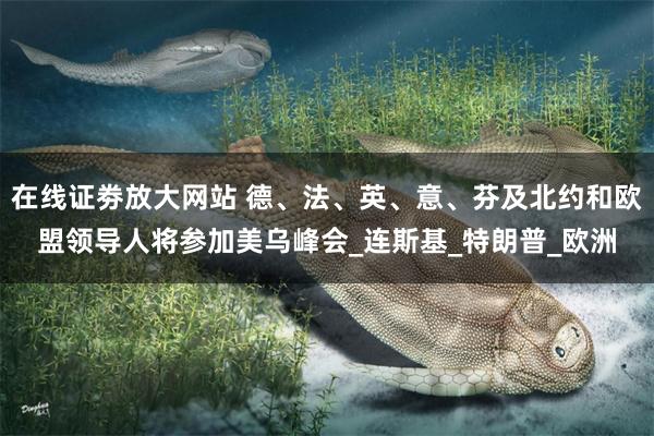 在线证劵放大网站 德、法、英、意、芬及北约和欧盟领导人将参加美乌峰会_连斯基_特朗普_欧洲