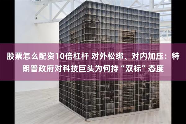 股票怎么配资10倍杠杆 对外松绑、对内加压：特朗普政府对科技巨头为何持“双标”态度