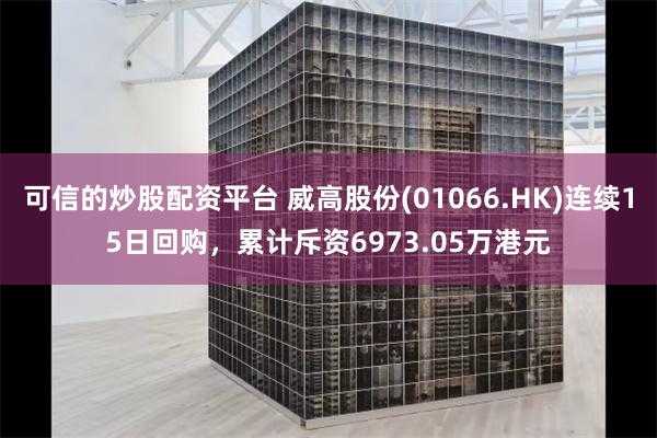 可信的炒股配资平台 威高股份(01066.HK)连续15日回购，累计斥资6973.05万港元